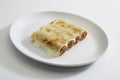 dish with 4 cannelloni, typical Italian recipe of stuffed pasta with meat and cheese