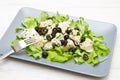 Dish of cod salad with black olives Royalty Free Stock Photo