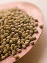 Dish of Coriander Seeds Royalty Free Stock Photo