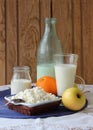 Dish of cottage cheese, a bottle of milk Royalty Free Stock Photo