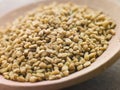 Dish of Fenugreek Seeds Royalty Free Stock Photo