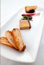 Dish of fois gras Royalty Free Stock Photo