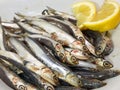 Dish with fresh little sardines just fished and lemon Royalty Free Stock Photo