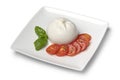 Dish with fresh piece burrata cheese close up on white background Royalty Free Stock Photo