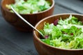 A dish of fresh salad frisse, Romano and radiccio with olive oil, salt and freshly ground percec in a wooden bowl Royalty Free Stock Photo