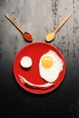 Dish with fried egg near spoons with spices and pepper Royalty Free Stock Photo