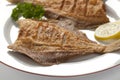 Dish with fried plaice Royalty Free Stock Photo