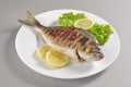 Dish with grilled fish gilthead bream Royalty Free Stock Photo