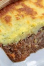 Dish of minced meat pie Royalty Free Stock Photo