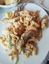 Dish of mixed fried Mediterranean fish feeding