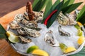 Dish with oysters, lemons, chili and leaves on ice