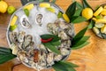 Dish with oysters, lemons, chili and leaves on ice