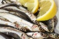 Dish with raw sardines just fished and lemon Royalty Free Stock Photo