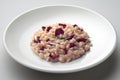 Dish of risotto with red radicchio Royalty Free Stock Photo