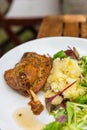 Dish with a roasted duck leg and green salad Royalty Free Stock Photo