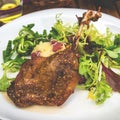 Dish with a roasted duck leg and green salad Royalty Free Stock Photo