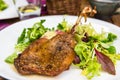 Dish with a roasted duck leg and green salad Royalty Free Stock Photo