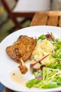 Dish with a roasted duck leg and green salad Royalty Free Stock Photo