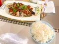 A dish of roasted duck with duck sauce and a bowl of white rice Royalty Free Stock Photo