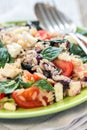 Dish with a salad of pasta orzo, basil and tomatoes.