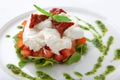 Dish with tomatoes, salad ruccola and cheese Royalty Free Stock Photo