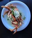 Cooked crab on a plate on dark background Royalty Free Stock Photo