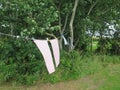 Dishcloths on washing line Royalty Free Stock Photo