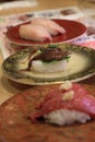 3 Dishes of Delicious Japanese Sushi including raw horseflesh, cuttlefish and flounder Royalty Free Stock Photo