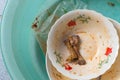 Dishes soaking in kitchen sink plastic