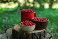 Dishes with tasty wild strawberries on stump against blurred background, closeup Royalty Free Stock Photo