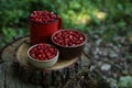 Dishes with tasty wild strawberries on stump against blurred background, closeup. Space for text Royalty Free Stock Photo