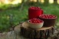 Dishes with tasty wild strawberries on stump against blurred background, closeup. Space for text Royalty Free Stock Photo
