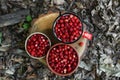 Dishes with tasty wild strawberries on stump outdoors, top view