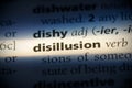 Disillusion