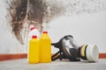 Mold. Aspergillus. Detergents, household gloves, a sponge, a bucket on a white wall background with a black fungus