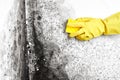 Disinfection of Aspergillus fungus. A hand in a yellow glove removes black mold from the wall in the apartment with a sponge. Dete Royalty Free Stock Photo