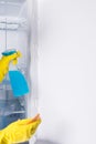 Disinfection of the refrigerator with a special detergent cleaning service