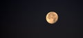 Disk full moon close up in the dark night sky. Royalty Free Stock Photo