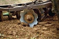 Disk Harrow in garden