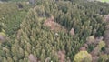 Dismal forest landscape with a few sparse trees scattered throughout the barren terrain