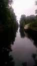 Dismal Swamp Canal, Virginia Royalty Free Stock Photo