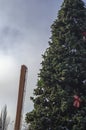 Dismantling the city\'s main Christmas tree