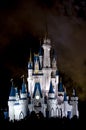Disney Castle crowd at night Royalty Free Stock Photo