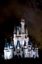 Disney Castle crowd at night