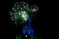 Disney Castle Fire Works