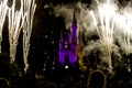 Disney Castle fireworks crowd Royalty Free Stock Photo