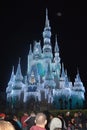 Disney Castle in magic kingdom