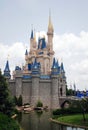 Disney Castle in magic kingdom Royalty Free Stock Photo