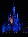 Disney castle magic kingdom night Royalty Free Stock Photo