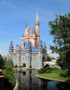 Disney castle in orlando for 50th anniversary celebrations